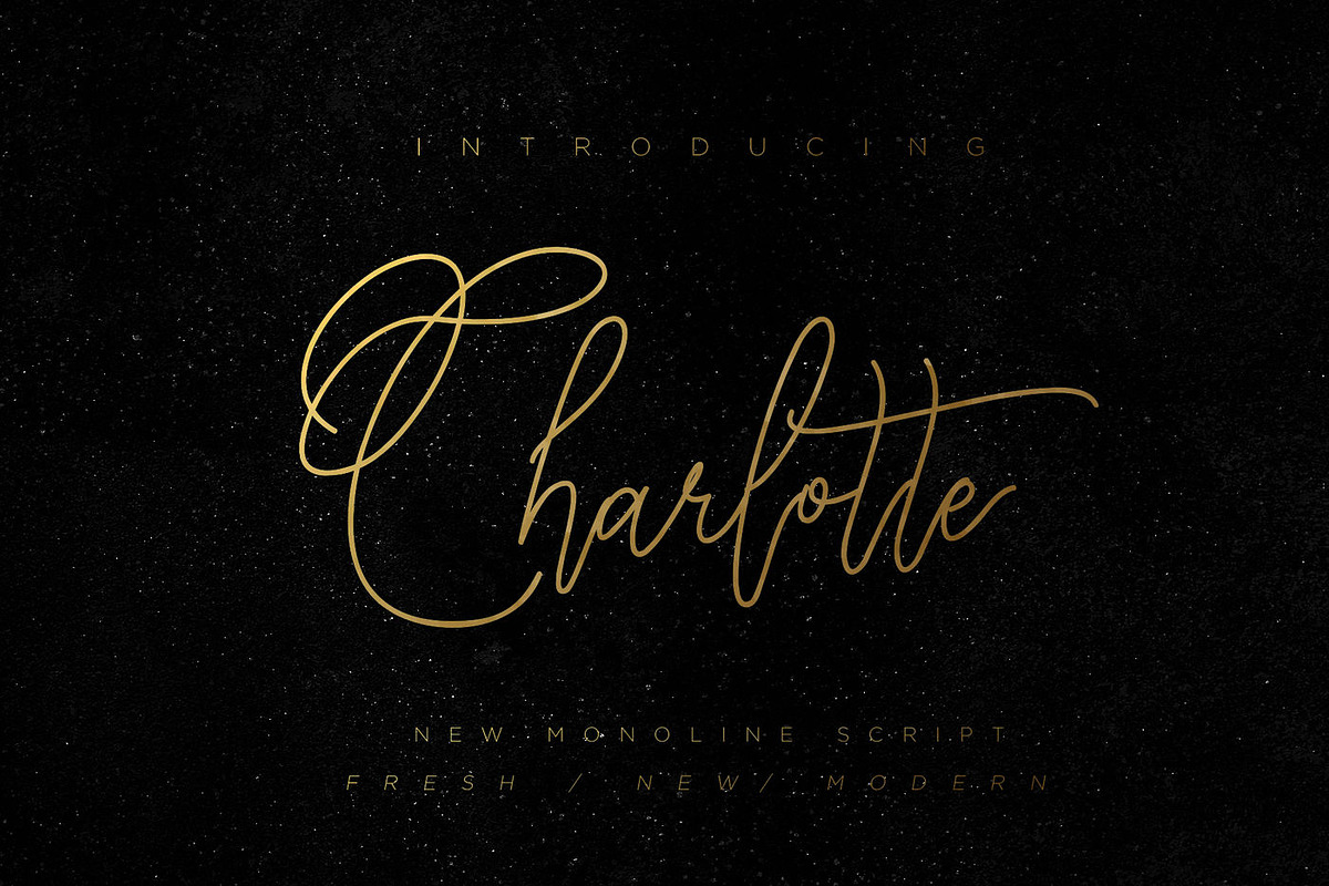 Wonderfull Font Collection, a Script Font by Chocotype Std (Photo 16 of 51)