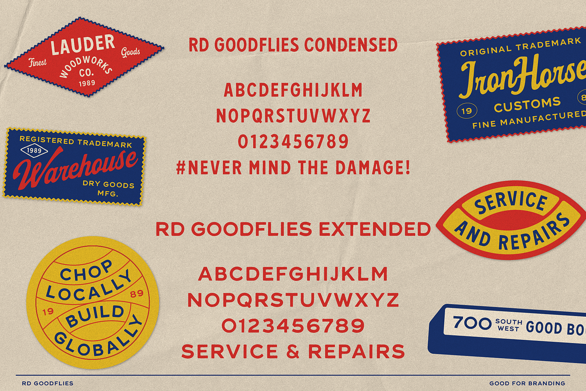 RD Goodflies, a Handwritten Font by Refolve Design (Photo 8 of 11)