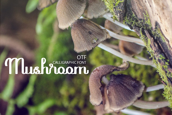 Mushroom font preview 6