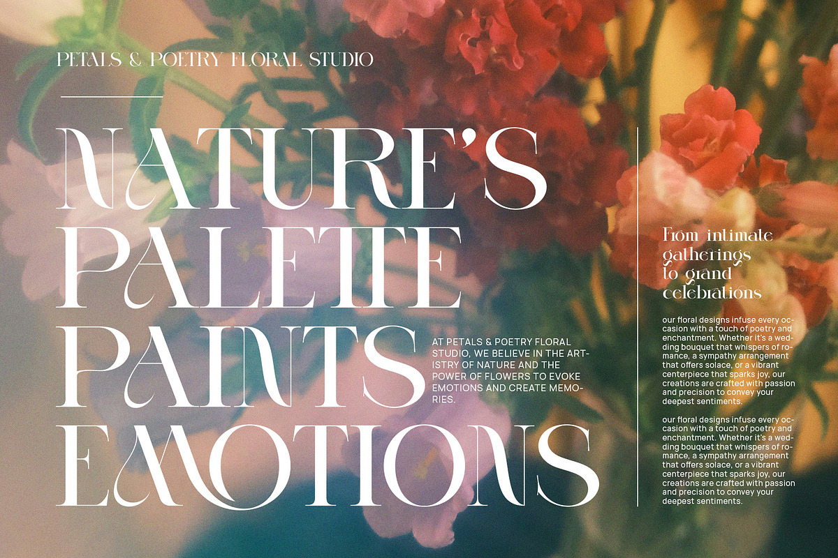 Norger Elegant Serif Font, a Sans Serif Font by Perfectype (Photo 3 of 8)