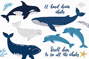 Cute Whales. Characters & patterns, an Animal Illustration by MagicForestory (Thumbnail 3 of 12)