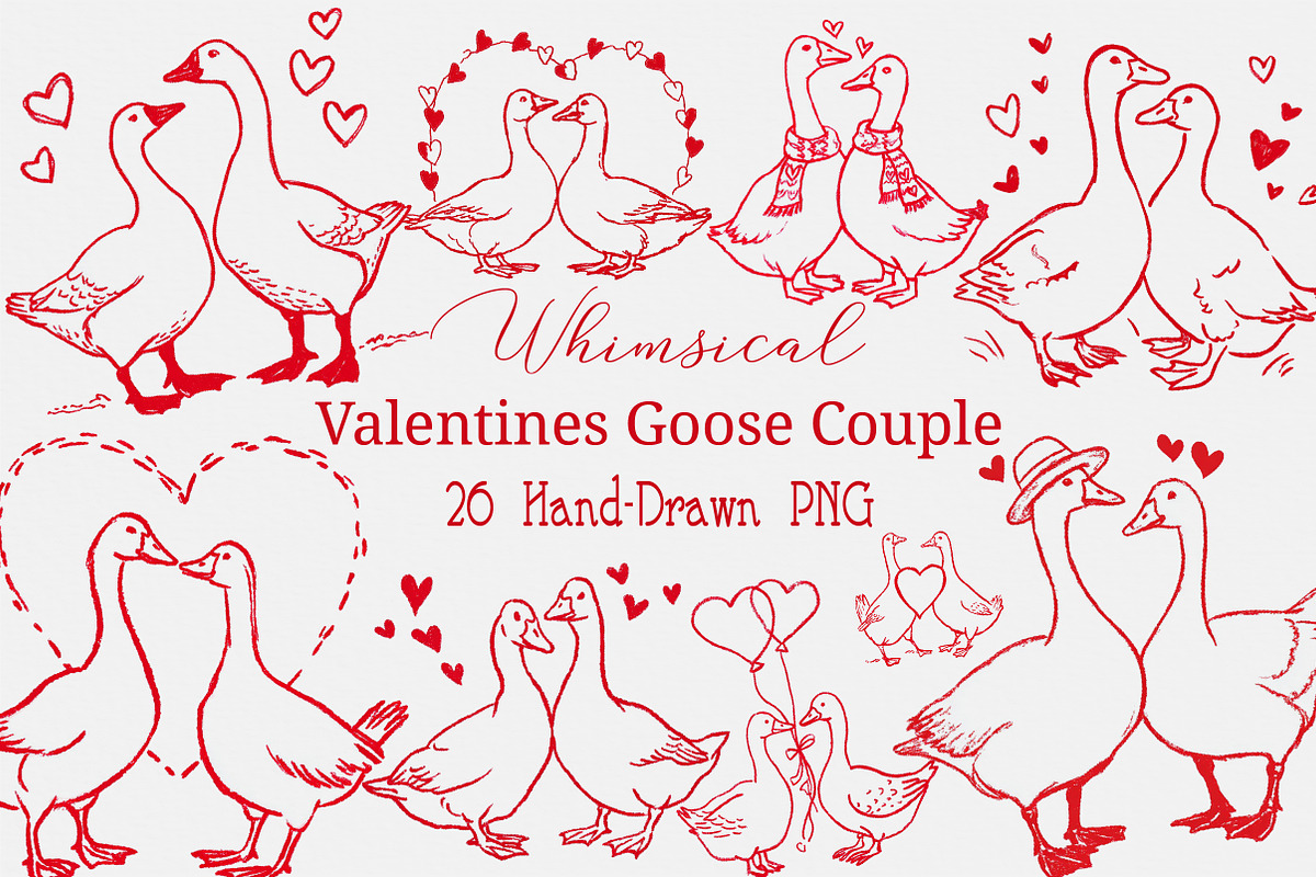 Valentines Goose Couple Hand-Drawn, an Illustration by Craft Nest (Photo 1 of 8)