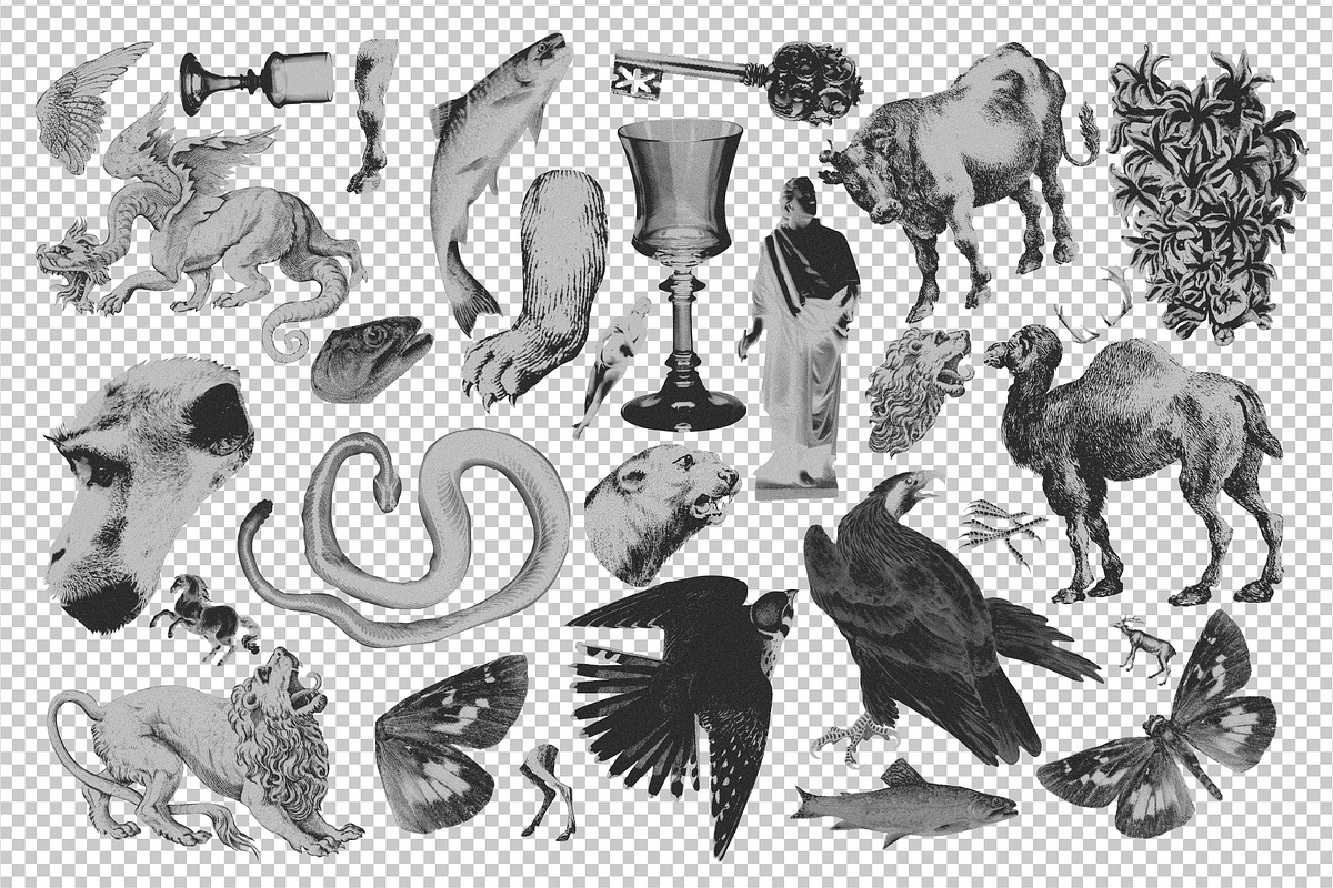 MONSTERVERSE Collage Set, an Object Graphic by angelainthefields (Photo 7 of 11)