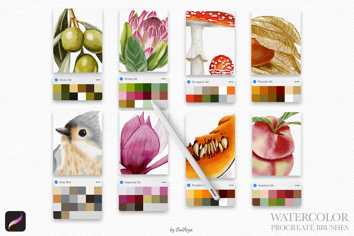 Watercolor Brushes for Procreate, a Brush Add-On by owlasya (Photo 8 of 9)