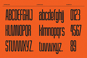 Rainshade - Condensed Display Font, a Sans Serif Font by Typeparties (Thumbnail 12 of 12)