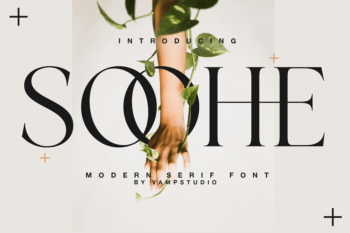 Soohe Modern Serif, a Serif Font by Vampstudio (Photo 1 of 13)