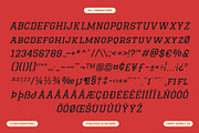CS Bolande Pixel, a Slab Serif Font by Craft Supply Co. (Thumbnail 8 of 8)