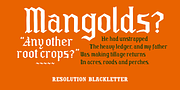 Resolution, a Handwritten Font by Barnbrook Fonts (Thumbnail 10 of 10)