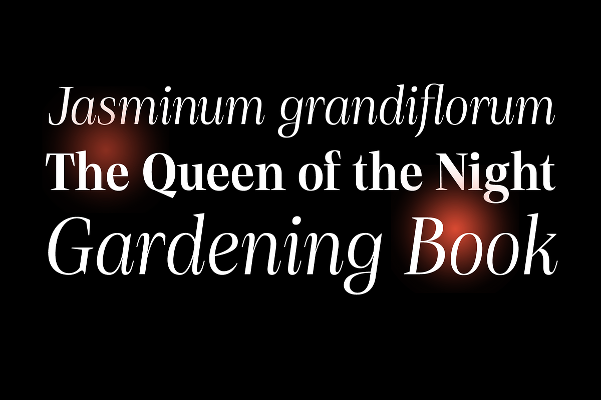 Debira — 14 Fonts, a Serif Font by Nasir Udin (Photo 8 of 12)