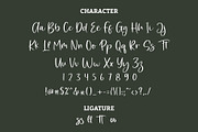Rossitta Modern Script Font, a Script Font by Giant Design (Thumbnail 10 of 10)