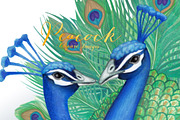 Watercolor Peacock Clipart Images, an Illustration by Whimseez (Thumbnail 1 of 4)