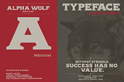 Alpha wolf - Serif font, a Serif Font by Artistic & Unique (Thumbnail 10 of 12)