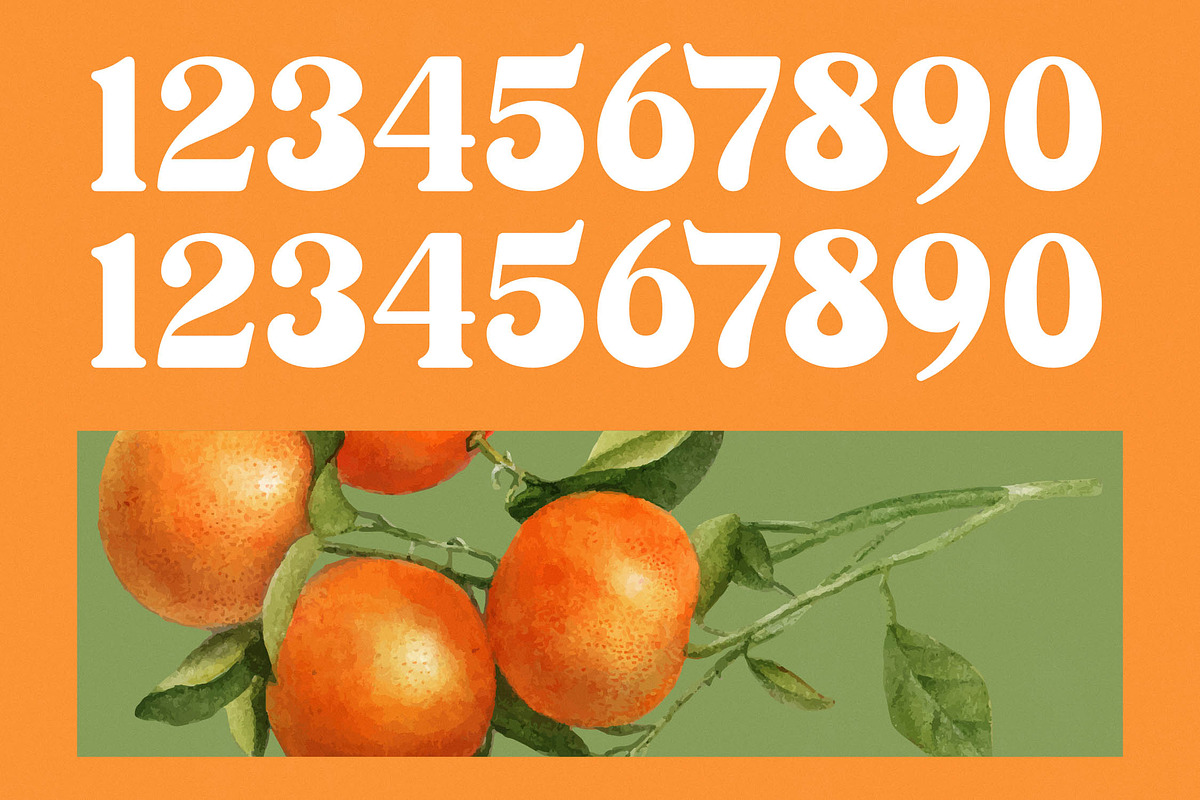 Sunday Ginger Vintage Serif, a Serif Font by timelesstype.co (Photo 17 of 20)
