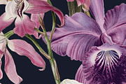 JUNO Flower Floral Seamless Pattern, a Pattern Graphic by Veris Studio (Thumbnail 8 of 14)