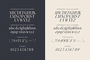 Alsgina Cheska Family Elegant Serif, a Serif Font by Graphicxell (Thumbnail 8 of 8)