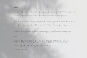 Palm Honey // Modern Lovely Script, a Handwritten Font by PeachCreme (Thumbnail 11 of 11)