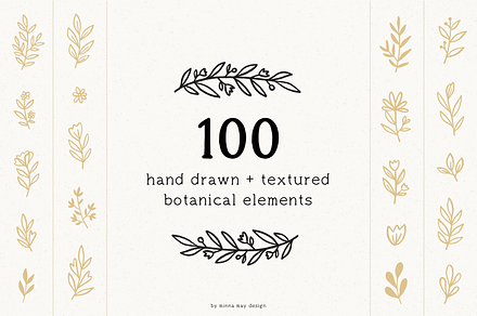 100 Hand Drawn Botanical Graphics