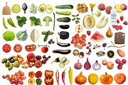 Harvest Collage Pack, an Object Graphic by lerinartstudio (Thumbnail 5 of 7)