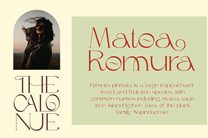 The Calonue Classic & Elegant Font