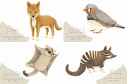 Australian Animals Vol II, an Animal Illustration by Jen Digital Art (Thumbnail 7 of 8)