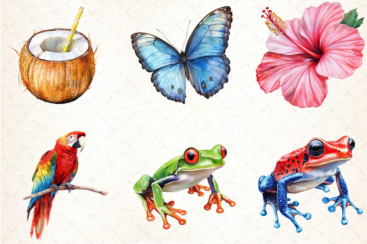 Rainforest Watercolor Vintage Nature, an Illustration by DreamCafeArt (Photo 3 of 7)