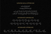 Ballegra Script Outline & Solid., a Script Font by typeline studio (Thumbnail 10 of 11)