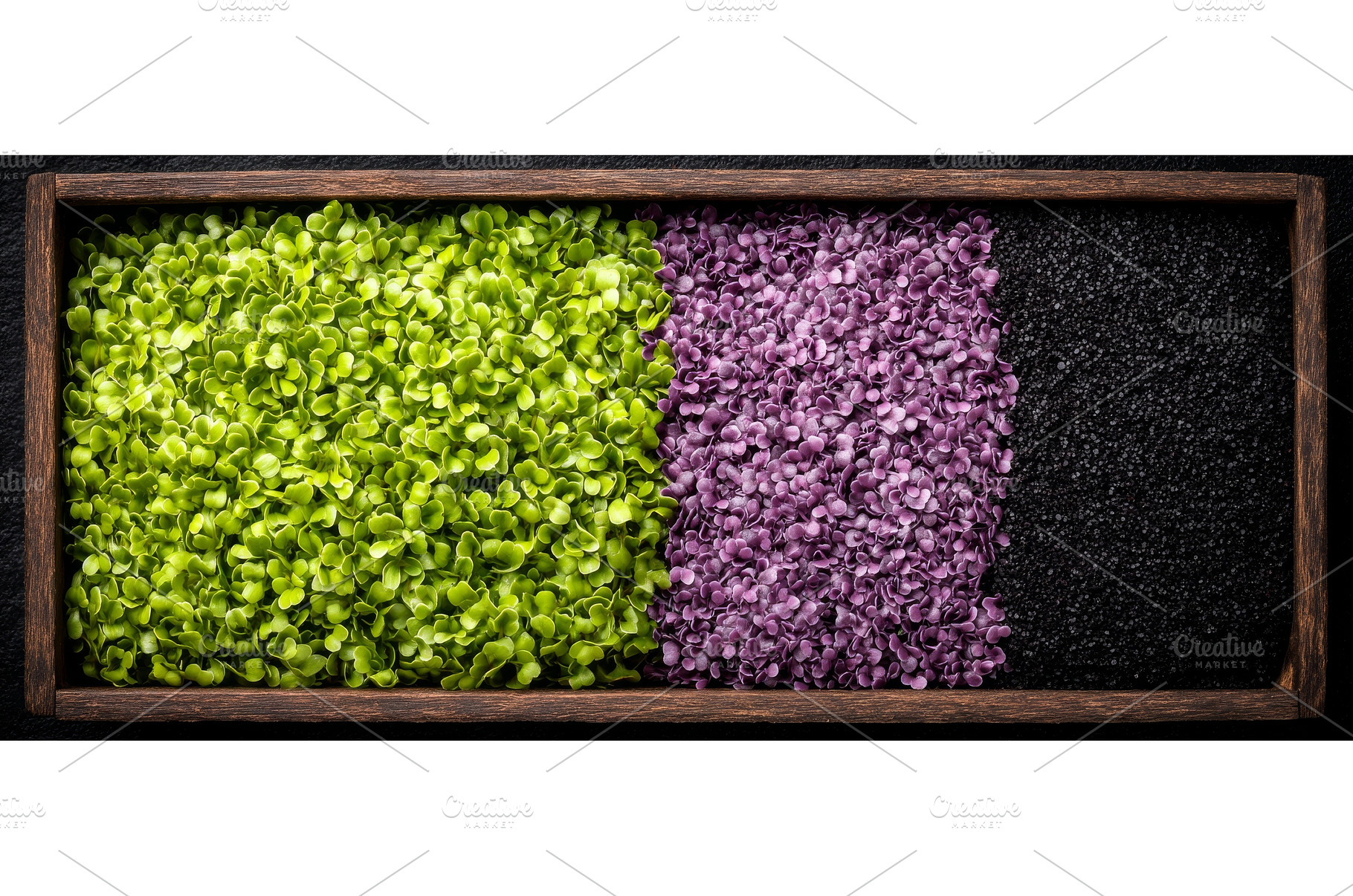 A variety of freshly cut microgreens, a Food & Drink Photo by ZinetroN
