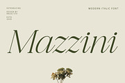 Mazzini Modern Italic Font, a Serif Font by Rasio Studio (Thumbnail 1 of 8)