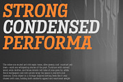 Birdwood; Condensed Slab Serif, a Slab Serif Font by Eko Bimantara (Thumbnail 11 of 13)