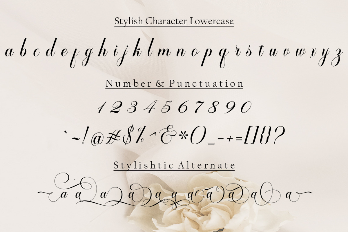 Zimbara, a Script Font by Slex Studio (Photo 10 of 11)
