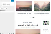 Anissa / Blog & WooCommerce Theme, a WordPress Template by AlienWP (Thumbnail 3 of 4)