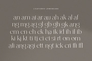Rhiffiral, a Serif Font by Dora Typefoundry (Thumbnail 9 of 30)