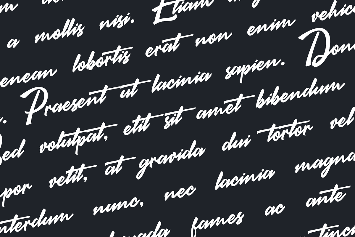Brastigma a Signature Font, a Script Font by Basnistudio (Photo 2 of 12)