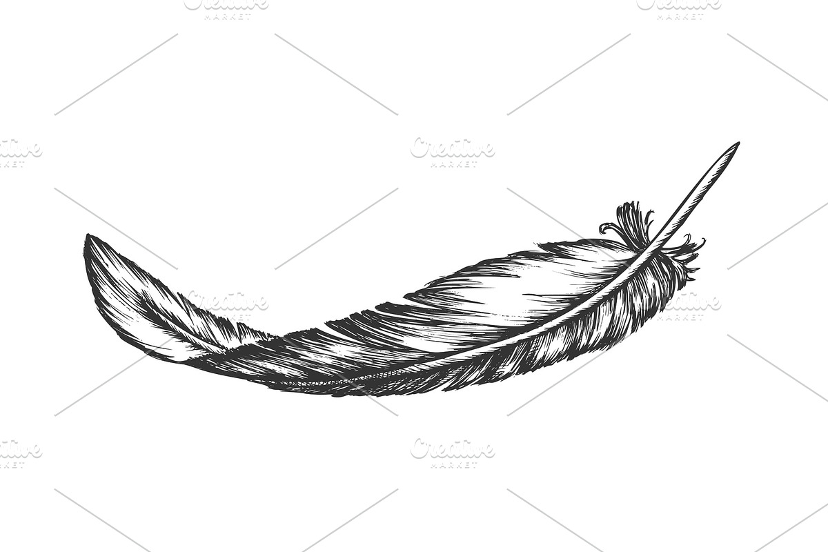 Lost Bird Outer Element Feather Hand, a Decorative Illustration by pikepicture