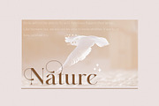 Majors A luxe serif, a Serif Font by Areatype (Thumbnail 10 of 14)
