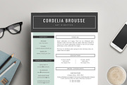 Resume Template 3 Pages, CV Template, a Resume Template by This Paper Fox (Thumbnail 1 of 5)
