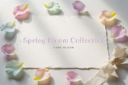 Feminine Spring Floral Display, a Sans Serif Font by Gookkis Studio (Thumbnail 11 of 13)