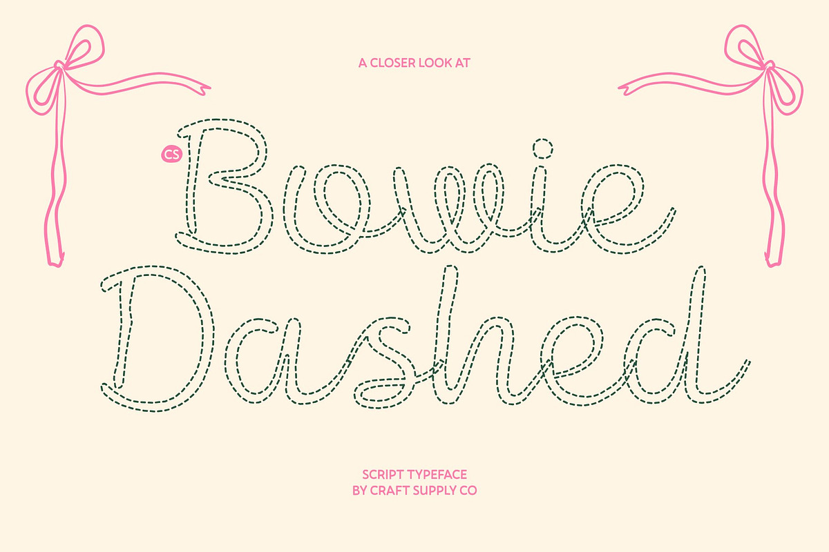 CS Bowie Dashed, a Script Font by Craft Supply Co. (Photo 1 of 8)