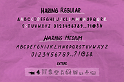 Haring Font Family, a Font by Zelly Design Co. (Thumbnail 5 of 6)