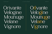 Norriex - Luxury Serif Font, a Serif Font by trabaskriya (Thumbnail 6 of 11)