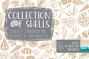 Collection of Shells