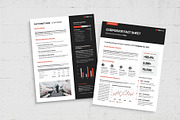 Factsheet Template, a Flyer Template by BrandPacks (Thumbnail 3 of 5)