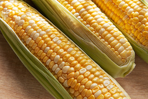 Fresh organic sweet corn on wooden table, a Food & Drink Photo by Olena Rudo