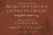 Ving Winston - Signature Font, a Script Font by StringLabs (Thumbnail 8 of 9)