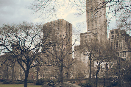 New york  central park 01 containing new york, skyline, and architecture, an Architecture Photo by PhotoMarket