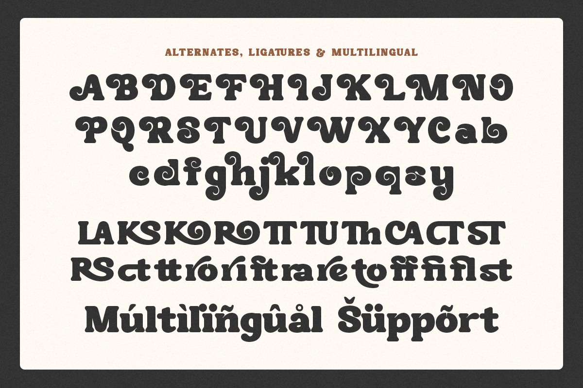 SKR - Tropical Paradise, a Serif Font by Shakira Studio (Photo 10 of 10)