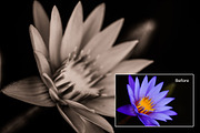 Detail Lightroom Presets, an Action Add-On by PresetKingdom.com (Thumbnail 4 of 4)