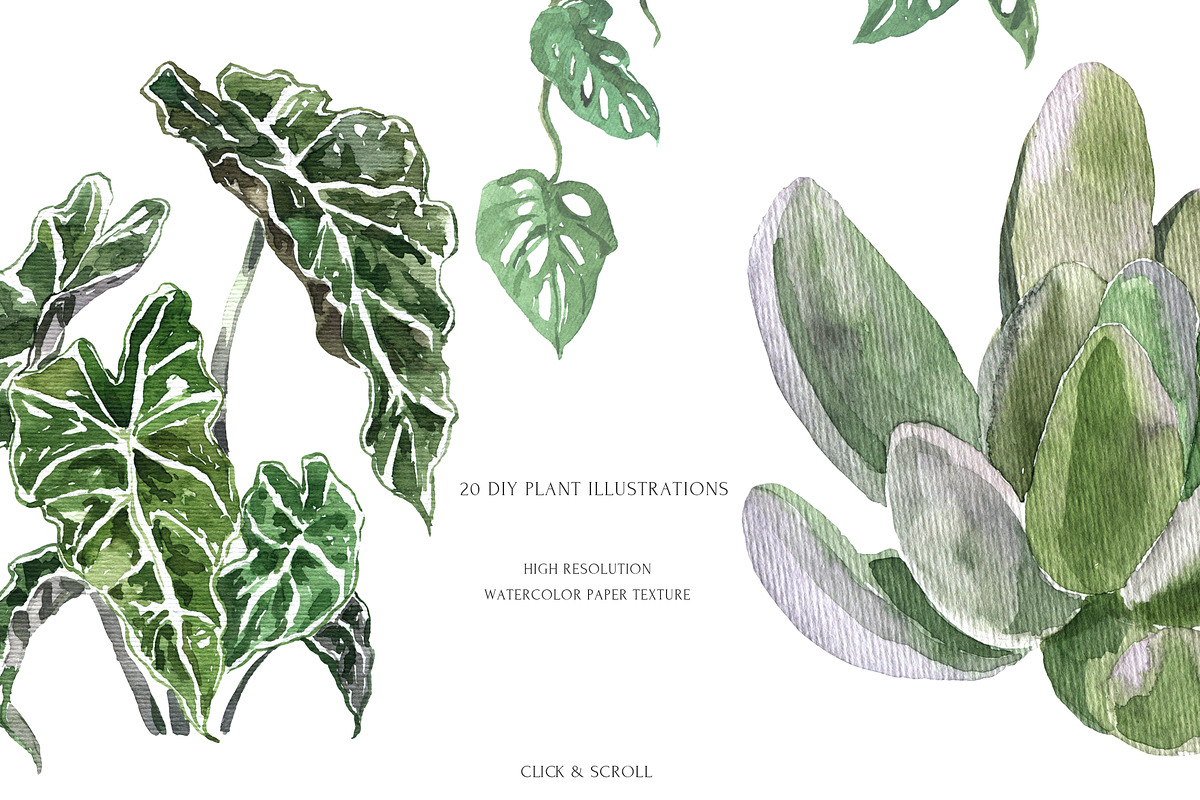 Stay Home & Love Plants Collection, a Decorative Illustration by Cat In Colour (Photo 3 of 10)