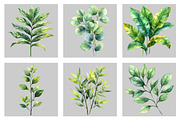 Watercolor Greenery Foliage Clipart, an Illustration by Black Bird Studio (Thumbnail 3 of 5)