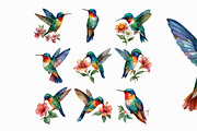Watercolor Hummingbird Clipart, an Illustration by Libby Wishes (Thumbnail 2 of 4)